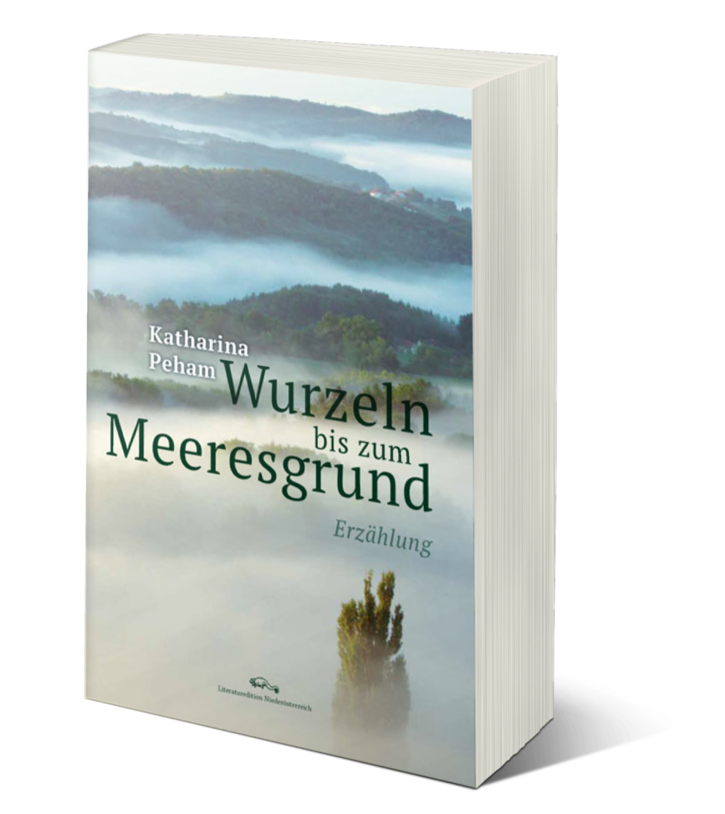 Wurzeln bis zum Meeresgrund