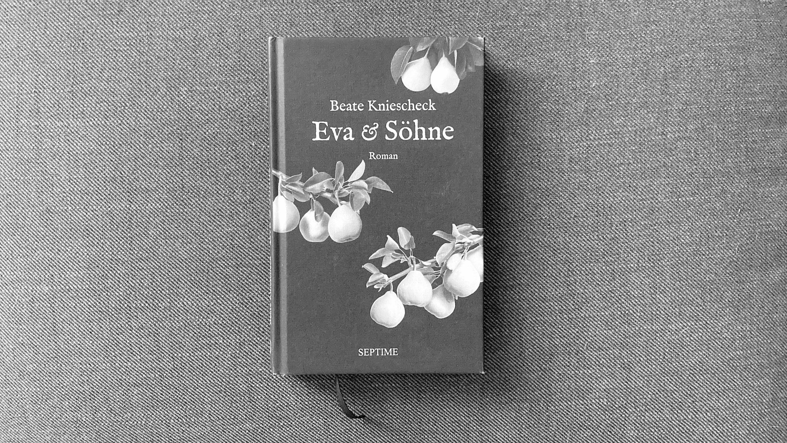 [litrobona|rezension] Vom Verdrängen: Beate Knieschecks Eva & Söhne