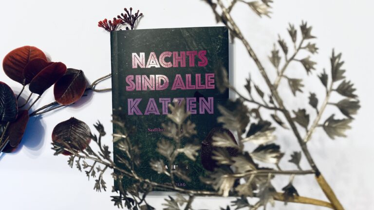 Nina Heller | Nachts sind alle Katzen. Softhorrorstories.